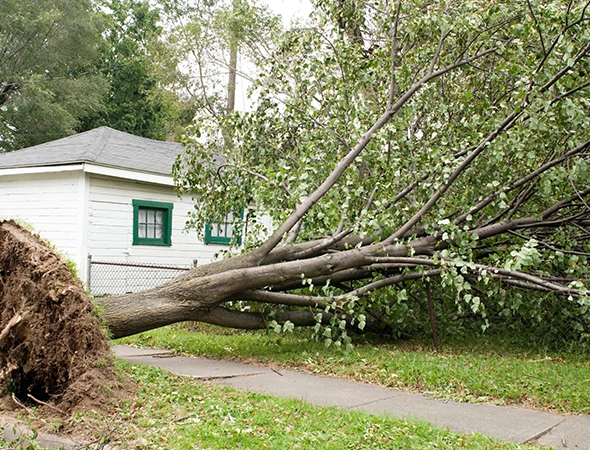 24/7 Emergency Storm Damage