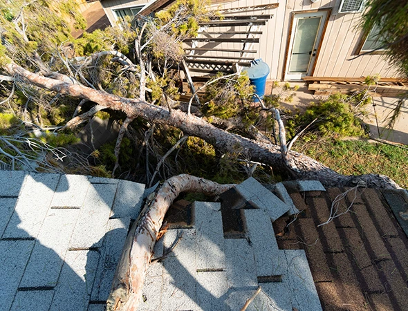 Storm Damaged Roof & Exterior Debris Removal