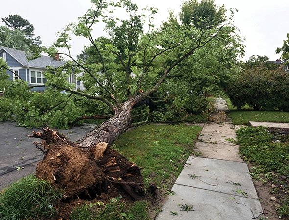 Water & Flood Damage Cleanup
