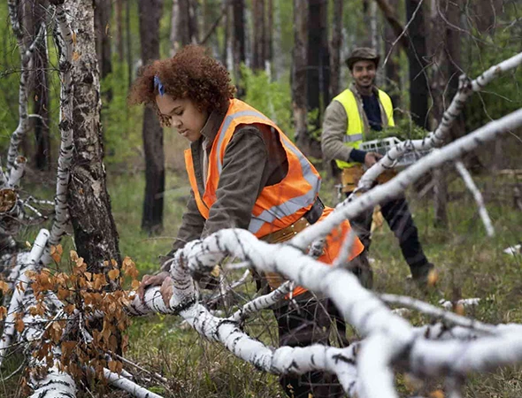 Emergency Tree Care